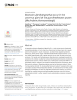 Biomolecular changes that occur in the antennal gland of the giant freshwater prawn (Machrobrachium rosenbergii)