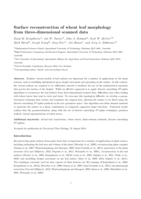Surface reconstruction of wheat leaf morphology from three-dimensional scanned data