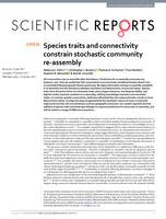 Species traits and connectivity constrain stochastic community re-assembly
