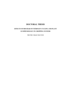 Effects of Biochar on Nitrogen Cycling and Plant Ecophysiology in Cropping Systems