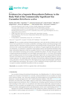 Evidence for a Saponin Biosynthesis Pathway in the Body Wall of the Commercially Significant Sea Cucumber Holothuria scabra