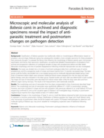 Microscopic and molecular analysis of Babesia canis in archived and diagnostic specimens reveal the impact of anti-parasitic treatment and postmortem changes on pathogen detection