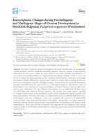 Transcriptomic changes during previtellogenic and vitellogenic stages of ovarian development in wreckfish (hāpuku), Polyprion oxygeneios (Perciforms)