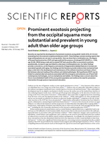 Prominent exostosis projecting from the occipital squama more substantial and prevalent in young adult than older age groups