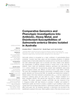 Comparative Genomics and Phenotypic Investigations Into Antibiotic, Heavy Metal, and Disinfectant Susceptibilities of Salmonella enterica Strains Isolated in Australia