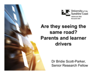 Are they seeing the same road? Parents and learner drivers