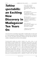 Tahina spectabilis: an Exciting New Discovery in Madagascar Ten Years On