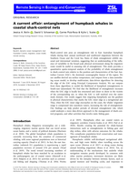 A current affair: entanglement of humpback whales in coastal shark-control nets
