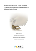 Prominent exostosis in the occipital squama: an anatomical adaptation to biomechanical load