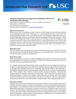 Situation awareness in young novice ambulance drivers: So much more than driving