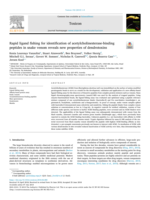 Rapid ligand fishing for identification of acetylcholinesterase-binding peptides in snake venom reveals new properties of dendrotoxins