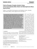 Glycine Receptor Complex Analysis Using Immunoprecipitation‐Blue Native Gel Electrophoresis‐Mass Spectrometry