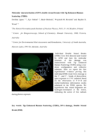 Molecular characterization of DNA double strand breaks with tip-enhanced Raman scattering