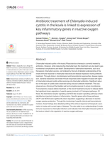 Antibiotic treatment of Chlamydia-induced cystitis in the koala is linked to expression of key inflammatory genes in reactive oxygen pathways