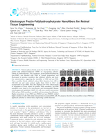 Electrospun Pectin-Polyhydroxybutyrate Nanofibers for Retinal Tissue Engineering