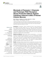 Blockade of Pannexin-1 Channels and Purinergic P2X7 Receptors Shows Protective Effects Against Cytokines-Induced Colitis of Human Colonic Mucosa