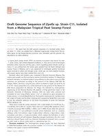 Draft Genome Sequence of Dyella sp. Strain C11, Isolated from a Malaysian Tropical Peat Swamp Forest