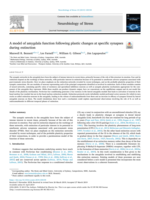 A model of amygdala function following plastic changes at specific synapses during extinction