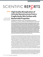 High Quality Bioreplication of Intricate Nanostructures from a Fragile Gecko Skin Surface with Bactericidal Properties