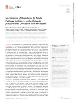 Mechanisms of Resistance to Folate Pathway Inhibitors in Burkholderia pseudomallei: Deviation from the Norm