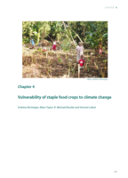Vulnerability of staple food crops to climate change