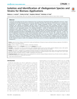 Isolation and identification of Oedogonium species and strains for biomass applications