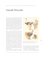 Naturally Delectable