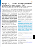 Selective NaV1.1 activation rescues Dravet syndrome mice from seizures and premature death