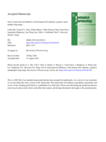 Novel venom-derived inhibitors of the human EAG channel, a putative antiepileptic drug target