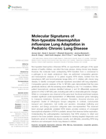 Molecular signatures of non-typeable Haemophilus influenzae lung adaptation in paediatric chronic lung disease