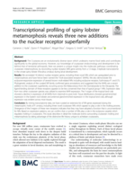 Transcriptional profiling of spiny lobster metamorphosis reveals three new additions to the nuclear receptor superfamily
