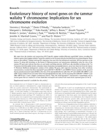 Evolutionary history of novel genes on the tammar wallaby Y chromosome: Implications for sex chromosome evolution