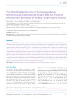 The Mitochondrial Genome of the Guanaco Louse, Microthoracius praelongiceps: Insights into the Ancestral Mitochondrial Karyotype of Sucking Lice (Anoplura, Insecta)