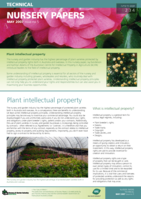 Plant intellectual property. Nursery Paper, Issue 5