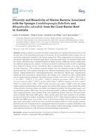 Diversity and Bioactivity of Marine Bacteria Associated with the Sponges Candidaspongia flabellata and Rhopaloeides odorabile from the Great Barrier Reef in Australia