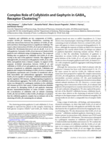Complex role of collybistin and gephyrin in GABAA receptor clustering