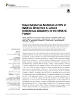 Novel missense mutation A789V in IQSEC2 underlies X-linked intellectual disability in the MRX78 family