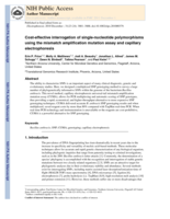 Cost-effective interrogation of single nucleotide polymorphisms using the mismatch amplification mutation assay and capillary electrophoresis