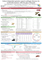 Culture-independent genomics supports pathogen discovery for uncultivable bacteria within the genus Chlamydia