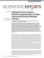 Chlamydia Serine Protease Inhibitor, targeting HtrA, as a New Treatment for Koala Chlamydia infection
