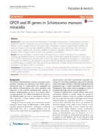 GPCR and IR genes in Schistosoma mansoni miracidia