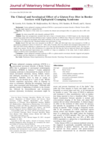 The Clinical and Serological Effect of a Gluten-Free Diet in Border Terriers with Epileptoid Cramping Syndrome