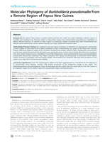 Molecular phylogeny of Burkholderia pseudomallei from a remote region of Papua New Guinea