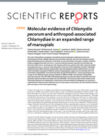 Molecular evidence of Chlamydia pecorum and arthropod-associated Chlamydiae in an expanded range of marsupials