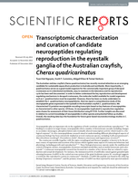 Transcriptomic characterization and curation of candidate neuropeptides regulating reproduction in the eyestalk ganglia of the Australian crayfish, Cherax quadricarinatus