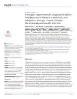 Pathogen to commensal? Longitudinal within-host population dynamics, evolution, and adaptation during a chronic >16-year Burkholderia pseudomallei infection