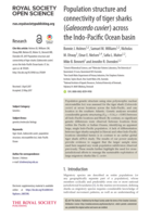 Population structure and connectivity of tiger sharks (Galeocerdo cuvier) across the indo-pacific ocean basin