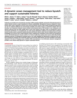 A dynamic ocean management tool to reduce bycatch and support sustainable fisheries