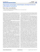 Glycinergic transmission: Physiological, developmental and pathological implications
