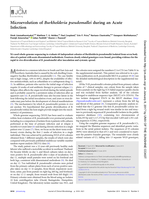 Microevolution of Burkholderia pseudomallei during an acute infection